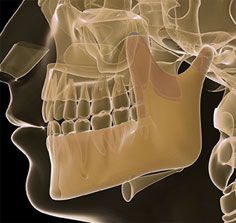 Digital Dental Imaging Fairway KS